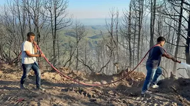 Hendek'te Orman Yangını Kontrol Altında