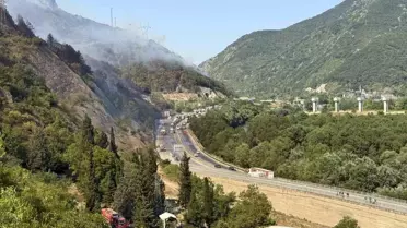 Geyve'deki Orman Yangını Kontrol Altında