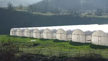 DAP ile Tarımda Sürdürülebilirlik Artıyor
