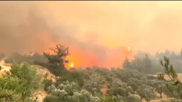 Bilecik'te Orman Yangınına Çiftçilerden Destek
