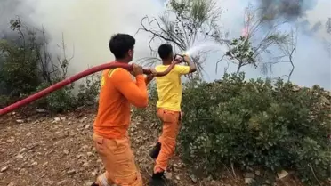 Hatay'da Orman Yangını Kontrol Altına Alındı