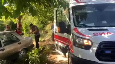 Akyazı'da otomobil ağaçla çarpıştı