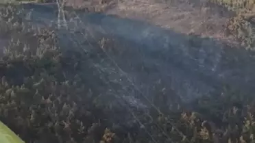 Manisa'da Orman Yangını İkinci Günde Sürüyor