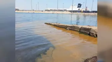 Yalova'da denizdeki kirliliğe jet inceleme! Numuneler TÜBİTAK'a gönderildi.