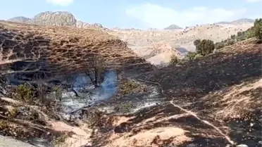 Silopi'de örtü yangını kontrol altına alındı