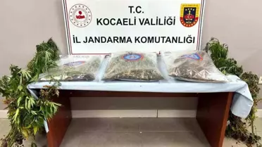 Kocaeli'de Uyuşturucu Operasyonu: İki Tutuklama