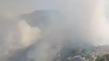 Antalya'da Yangın Kontrol Altında