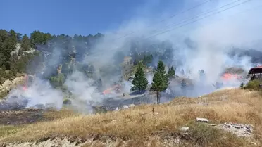 Perge Yangını Kontrol Altında