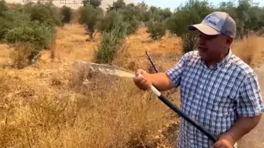 Antalya Aksu'da Orman Yangını Paniğe Neden Oldu