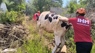 Gazipaşa'da Orman Yangını: 1 Yaralı