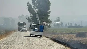 Aydın'da Ot Yangını Kontrol Altına Alındı