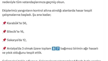 Yangınların Hasar Tespiti: 87 Birim Yıkık