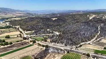 Osmaneli'nde Orman Yangını Kontrol Altında