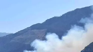Gazipaşa'da Orman Yangını