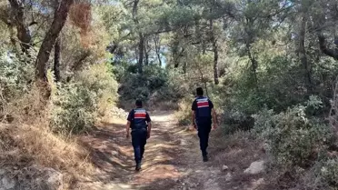 Aydın'da Orman Yangınlarına Karşı Denetim Artırıldı