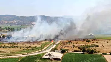 Aydın'daki Yangın Kontrol Altına Alındı