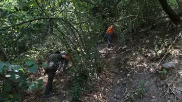 Sakarya'da Yangınla Mücadele: Hayvanlar İçin Seferberlik
