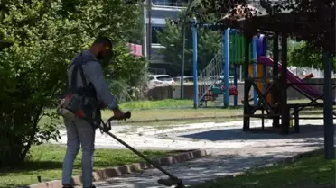 Söğüt Belediyesi'nden Park ve Bahçelere Çim Biçme Çalışmaları