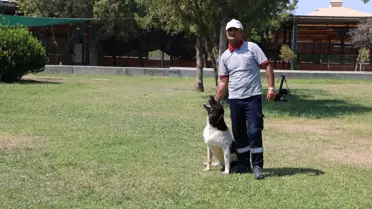 Temizlik Görevlisi ve Köpeği Arasındaki Bağ