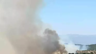 Uşak'ta Meşelik Yangını: Müdahale Devam Ediyor