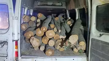 Düzce'de 1 Ton Kaçak Orman Ürünü Ele Geçirildi