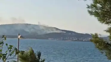 Cunda Adası'nda Orman Yangını Kontrol Altında