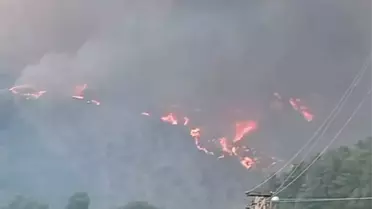 Kahramanmaraş'ta Orman Yangını Çıktı