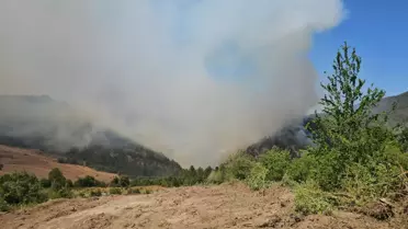 Karabük'te Orman Yangını: Bir Köy Boşaltıldı