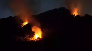 Zonguldak'ta Elektrik Kontağından Çıkan Yangın Kontrol Altına Alındı