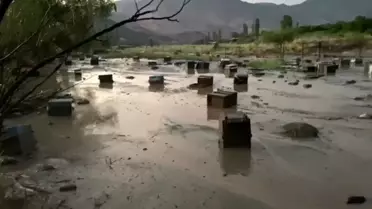 Kars'ta Sel Felaketi Arı Kovanlarını Sürükledi