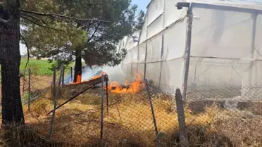 Mardin'de Sera Yakınında Yangın Kontrol Altına Alındı