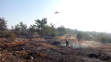 Mersin'de Orman Yangınına Hızlı Müdahale