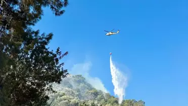 Muğla'da Orman Yangını Kontrol Altına Alındı