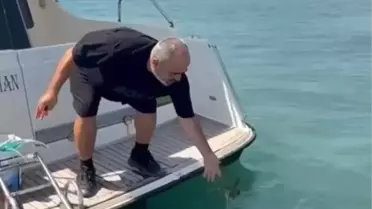 Edirne'de Nadir Kırlangıç Balığı Yakalandı