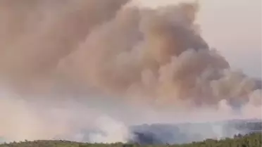 Silifke'de Orman Yangını