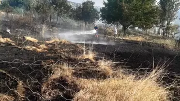 Tunceli'de Orman Yangını Kontrol Altına Alındı