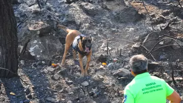 Manisa'da Yangın Tespit Köpeği 'Ateş' Görevde