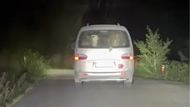 Karabük'teki Orman Yangınında Mahsur Kalan Hayvanlar Kurtarıldı