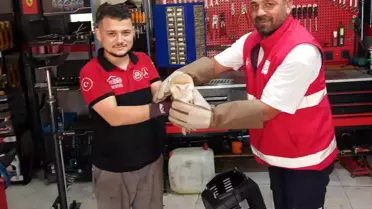 Arnavutköy'de Nadir Peçeli Baykuş Kurtarıldı