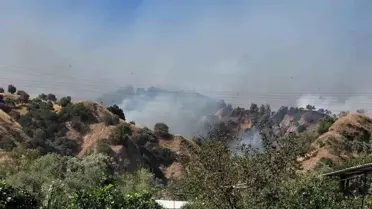 Aydın'da Zirai Alanda Başlayan Yangın Ormanlık Alana Sıçradı