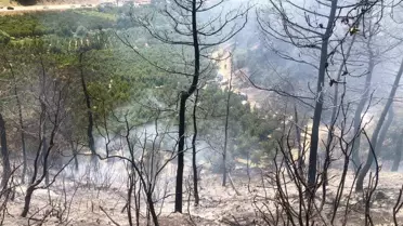Bilecik'te Yangın Kontrol Altına Alındı