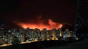 Bursa'da Orman Yangını Tehdidi