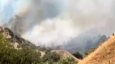 Aydın'ın Efeler İlçesinde Zirai Yangın Çıktı