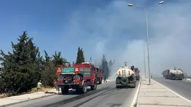 Buca'da Orman Yangını