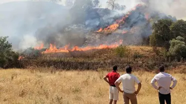 Nazilli'de Zirai Alanda Yangın Kontrol Altına Alındı