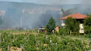 Kütahya'da Orman Yangını Kontrol Altına Alındı
