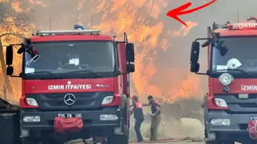 İzmir ve Bursa'da ciğerlerimiz alev alev yanıyor