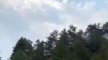 Kahramanmaraş'ta Orman Yangını Sürüyor