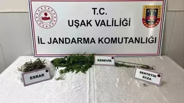 Uşak'ta Uyuşturucu Operasyonu: 1 Gözaltı