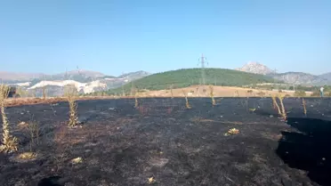 Eğirdir'de Karga Yangına Neden Oldu